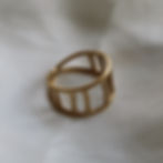 Structure Ring